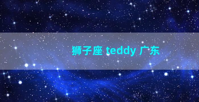 狮子座 teddy 广东